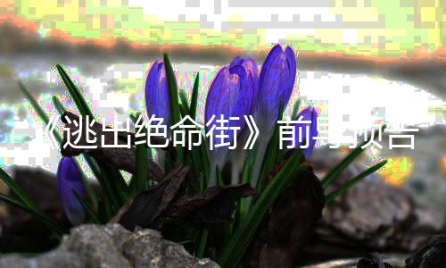 逃命街麦前安妮雷主告 瑟薇演·海导预出绝克格