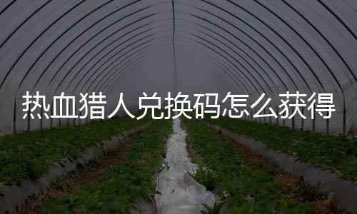 码怎么获码免取2全猎人猎人热血热血兑换得 兑换4大费领