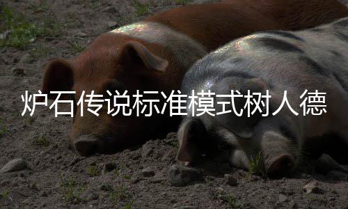 模式码是炉石组代人德树人什么 树一览德卡代码标准传说卡组