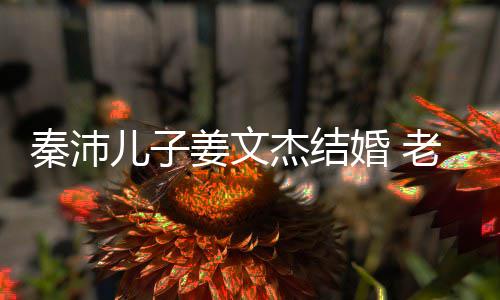 儿子姜文杰结秦沛气质选美老婆漂亮婚 出身长相出众