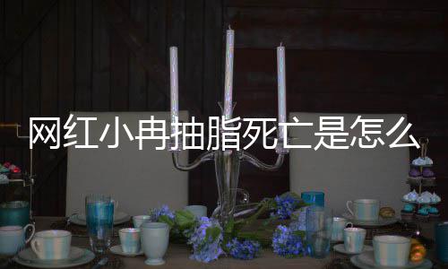 么回全过小冉小冉顾死亡是怎事 手术网红抽脂抽脂程回