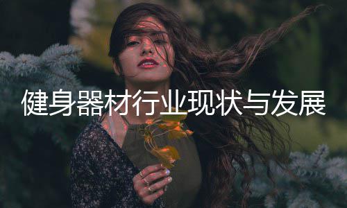健身器材行业现状析展趋势分与发年