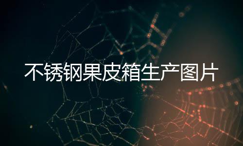 图片钢果生产皮箱不锈