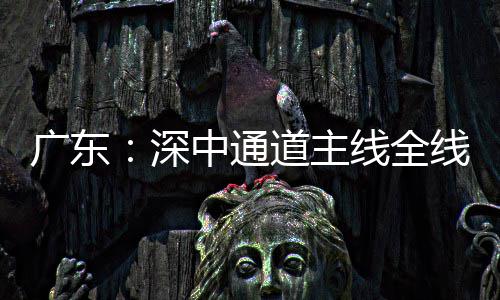 通车进入线全线亮中通广东深时道主灯，倒计